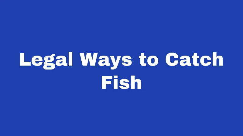 Legal Ways to Catch Fish