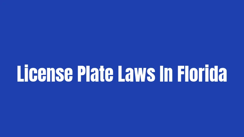 License Plate Laws In Florida
