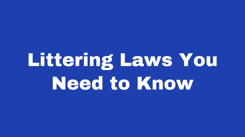 Littering Laws You Need to Know