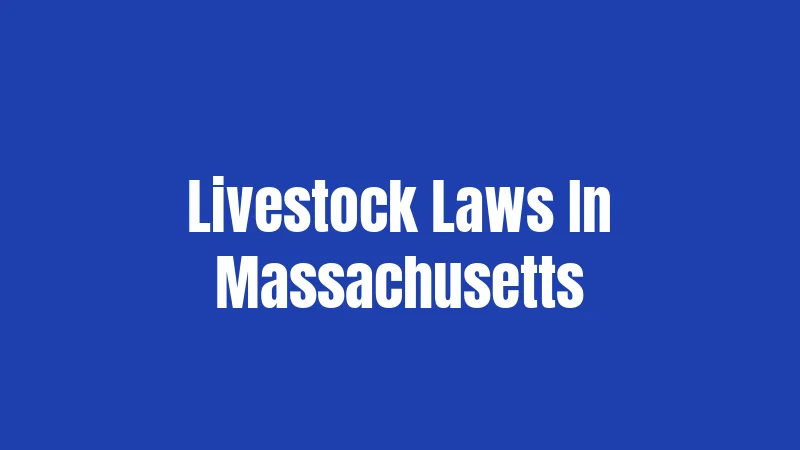 Livestock Laws In Massachusetts