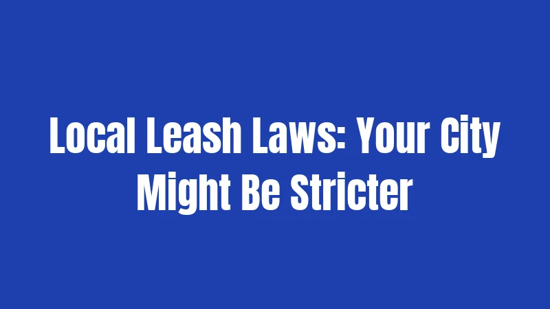 Pennsylvania Leash Laws in 2026: Control Your Dog at All Times 2 Local Leash Laws: Your City Might Be Stricter