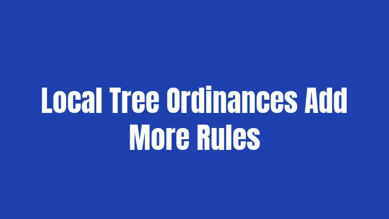 Florida Tree Laws in 2026: What You Actually Need to Know 3 Local Tree Ordinances Add More Rules