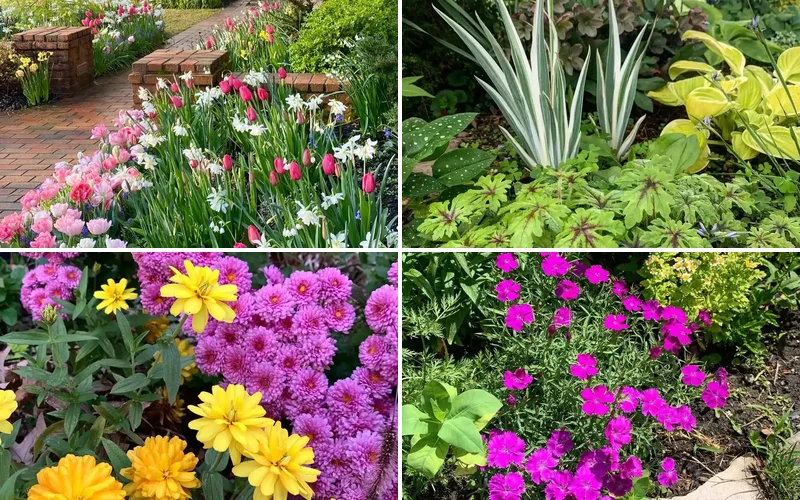 13 Effortless Garden Border Ideas That'll Transform Your Outdoor Space low maintenance garden border ideas featured