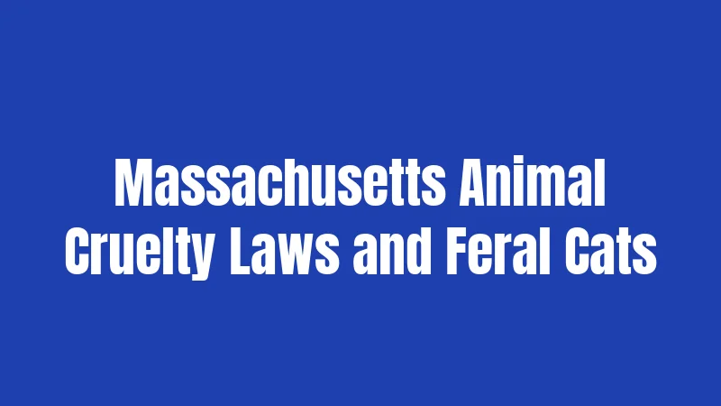 Massachusetts Animal Cruelty Laws and Feral Cats