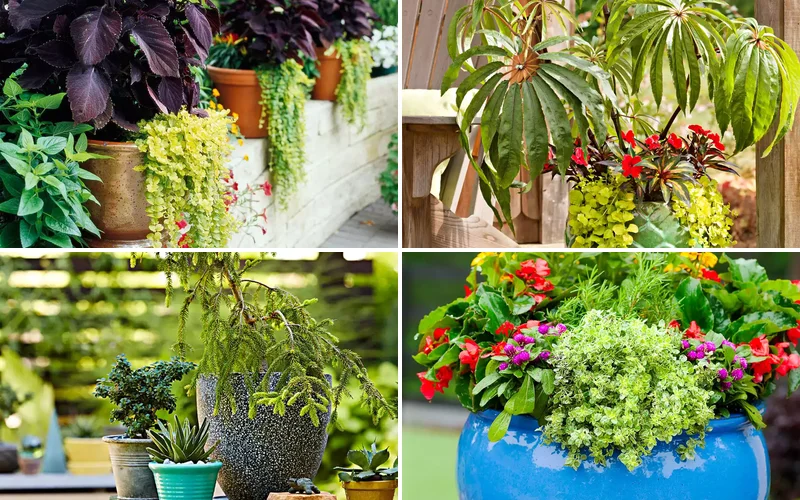 67 Stunning Container Garden Ideas That Bring Color to Every Corner of Your Home