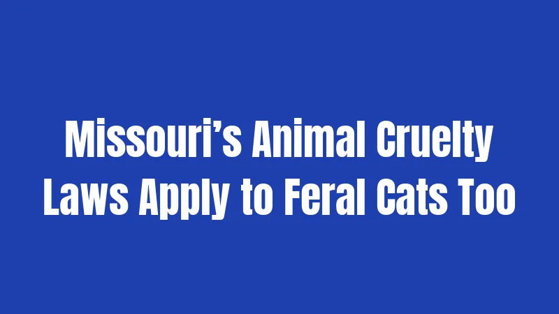 Missouri’s Animal Cruelty Laws Apply to Feral Cats Too