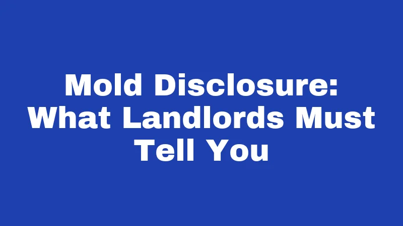 Mold Disclosure: What Landlords Must Tell You