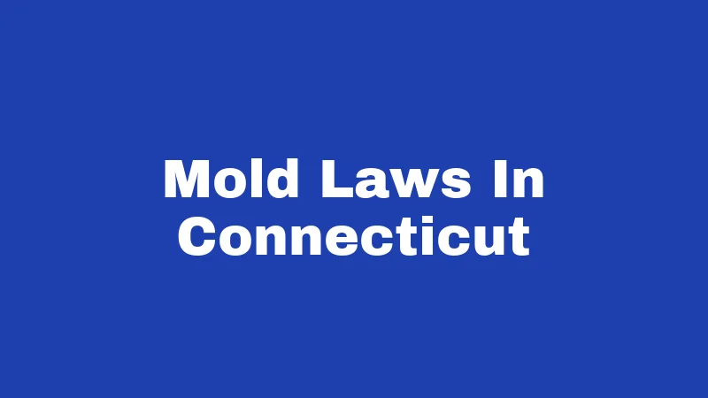 Mold Laws in Connecticut (2026): Renters, Rights, and Real Answers 268 Mold Laws In Connecticut
