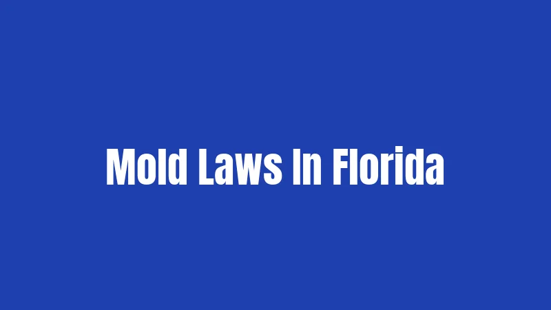 Mold Laws In Florida