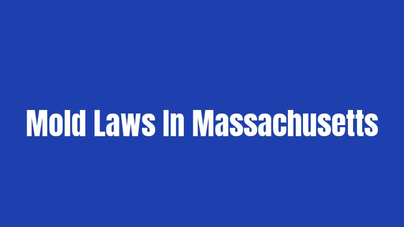 Mold Laws In Massachusetts