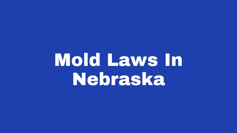 Mold Laws in Nebraska (2026): What Renters Often Miss 58 Mold Laws In Nebraska