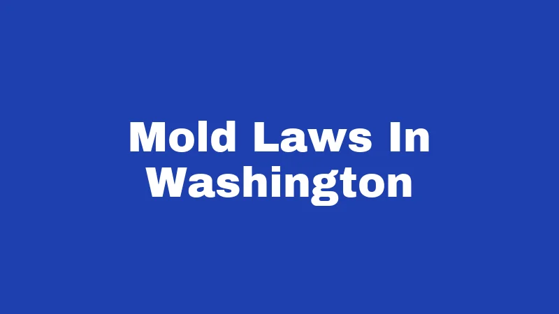 Mold Laws in Washington (2026): Who Pays, Who Cleans, Who's Liable 315 Mold Laws In Washington