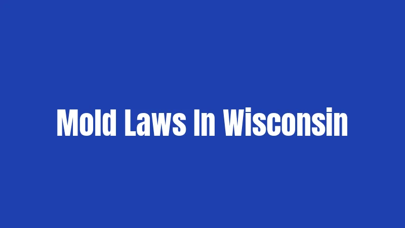 Mold Laws In Wisconsin
