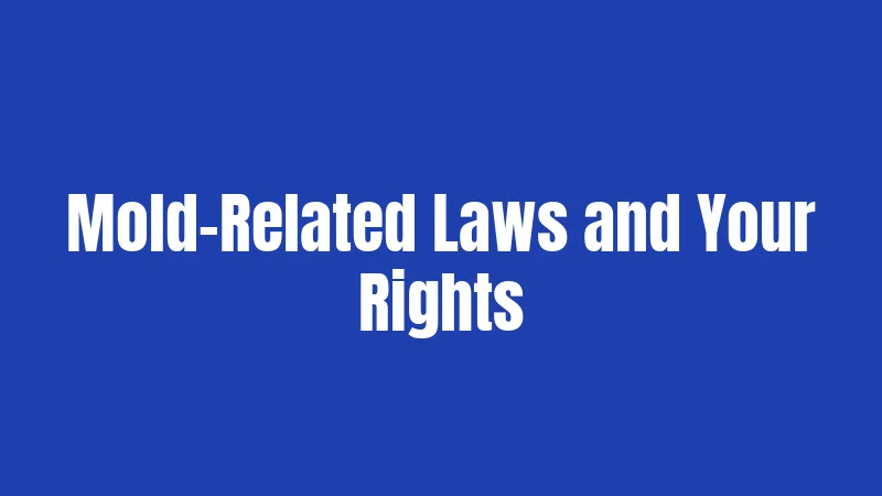 Mold-Related Laws and Your Rights
