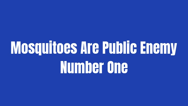 Mosquitoes Are Public Enemy Number One