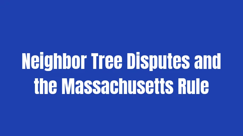 Neighbor Tree Disputes and the Massachusetts Rule
