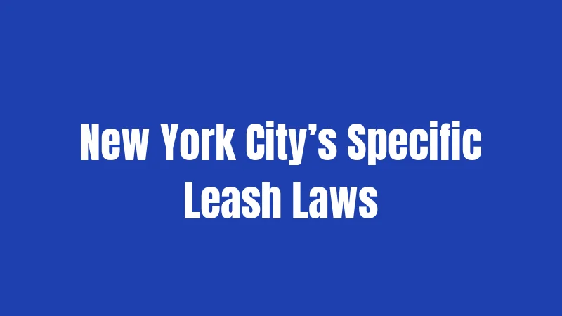 New York City’s Specific Leash Laws