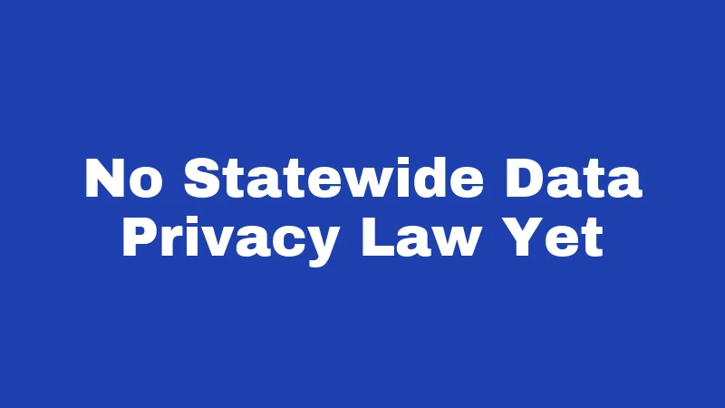 No Statewide Data Privacy Law Yet