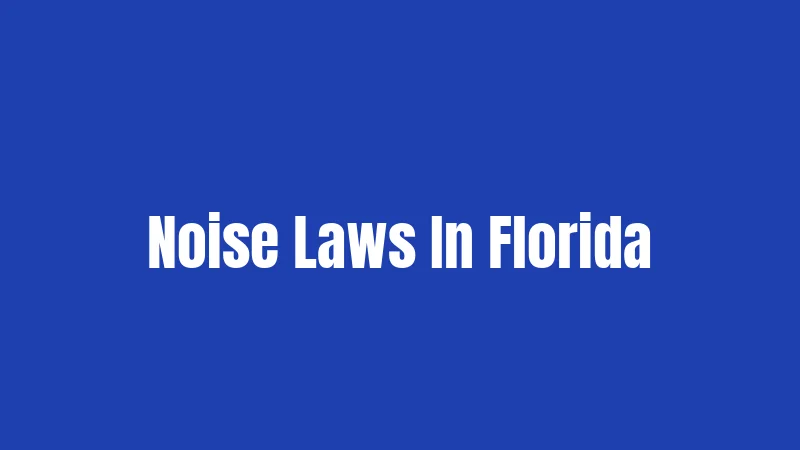 Noise Laws In Florida