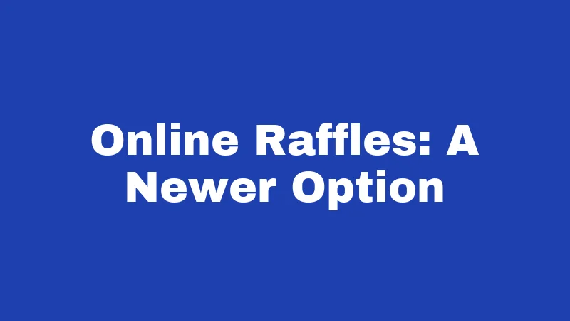 Raffle Laws in West Virginia (2026): The Charity Fundraiser Rulebook 3 Online Raffles: A Newer Option