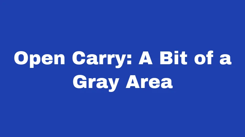 Brass Knuckle Laws in Louisiana (2026): Carry Rules That Catch People Off Guard 2 Open Carry: A Bit of a Gray Area