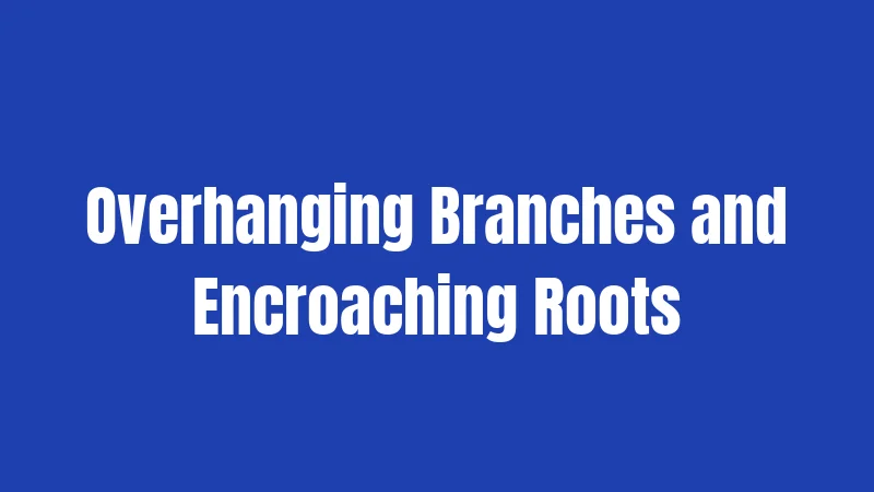 Overhanging Branches and Encroaching Roots
