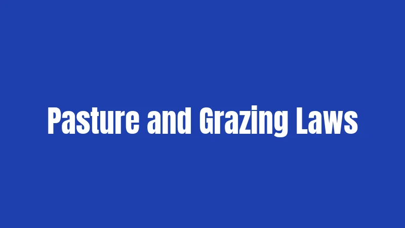 Florida Livestock Laws (2026): Fencing, Liability, and Your Legal Responsibilities 3 Pasture and Grazing Laws