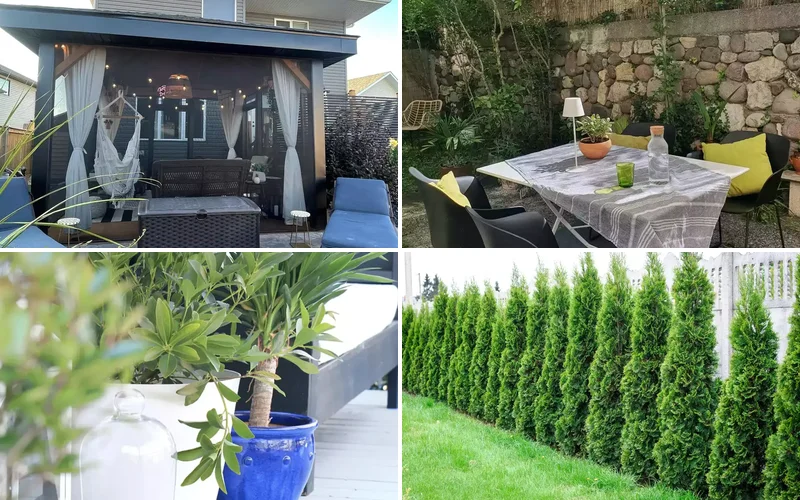 patio landscaping ideas featured