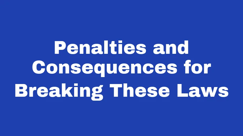 Penalties and Consequences for Breaking These Laws