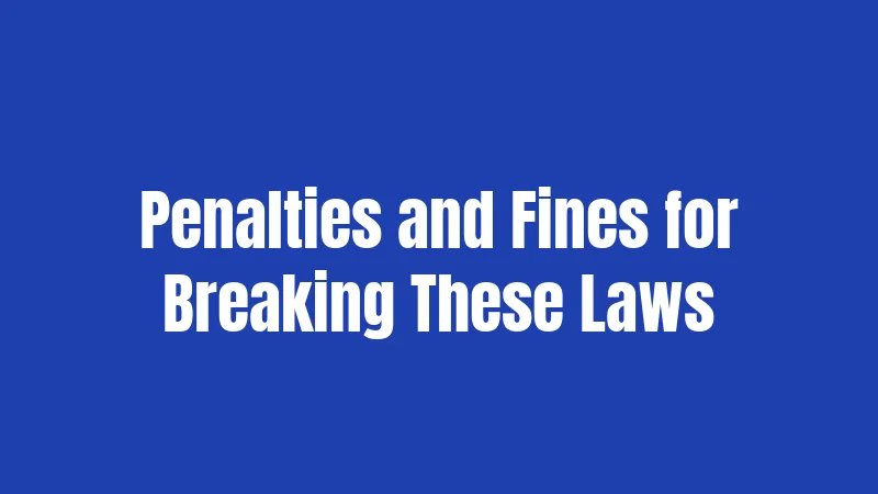 Penalties and Fines for Breaking These Laws