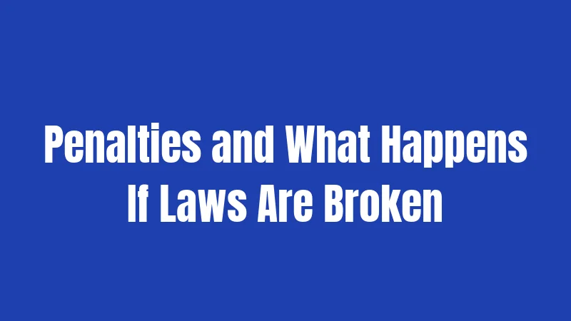 Penalties and What Happens If Laws Are Broken