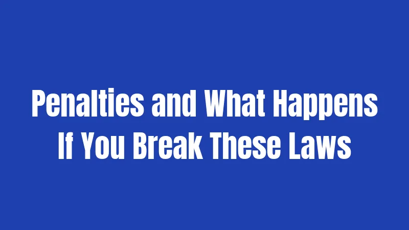 Penalties and What Happens If You Break These Laws