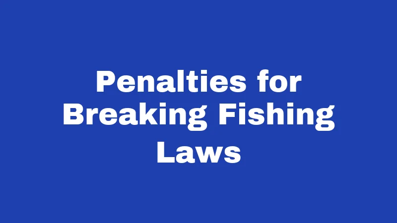 Fishing Laws in Connecticut (2026): Rules Every Angler Must Know 5 Penalties for Breaking Fishing Laws