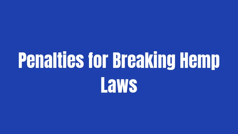 Penalties for Breaking Hemp Laws