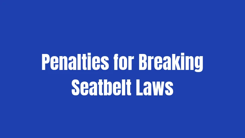 North Carolina Seatbelt Laws in 2026: What Drivers Really Need to Know 3 Penalties for Breaking Seatbelt Laws