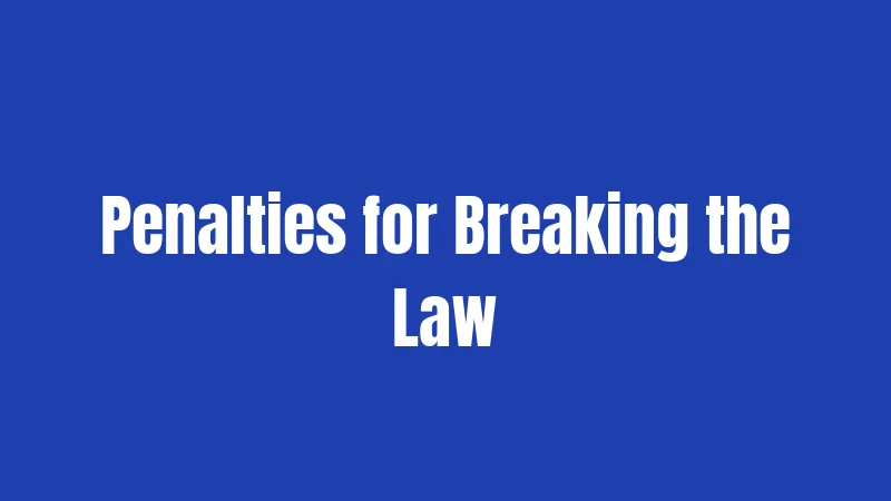 Penalties for Breaking the Law