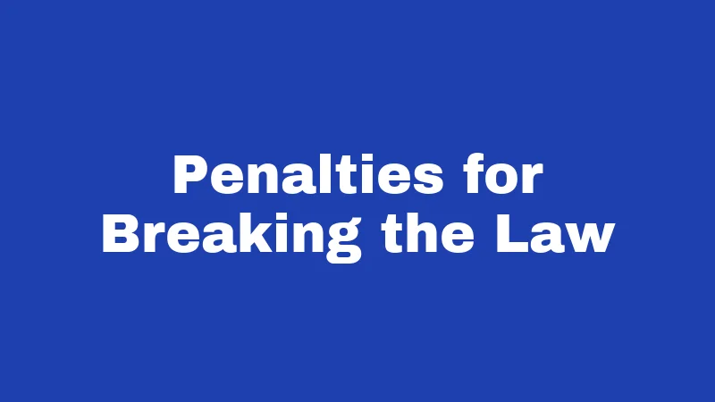 Penalties for Breaking the Law