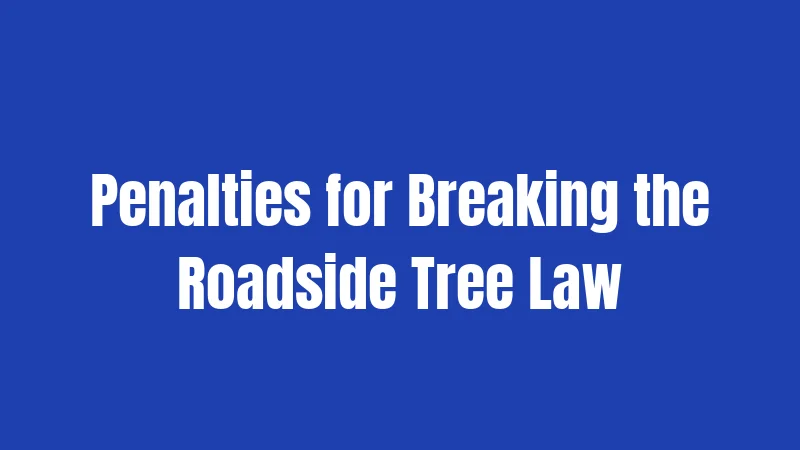Penalties for Breaking the Roadside Tree Law