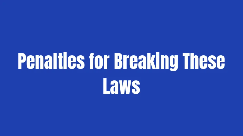 Penalties for Breaking These Laws