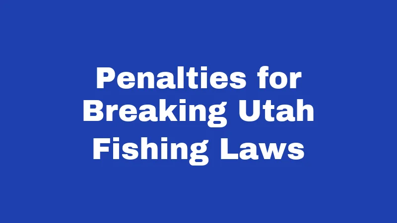 Fishing Laws in Utah (2026): Rules Every Angler Must Know 6 Penalties for Breaking Utah Fishing Laws