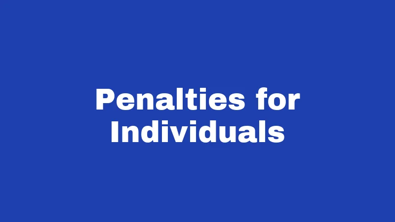 Penalties for Individuals