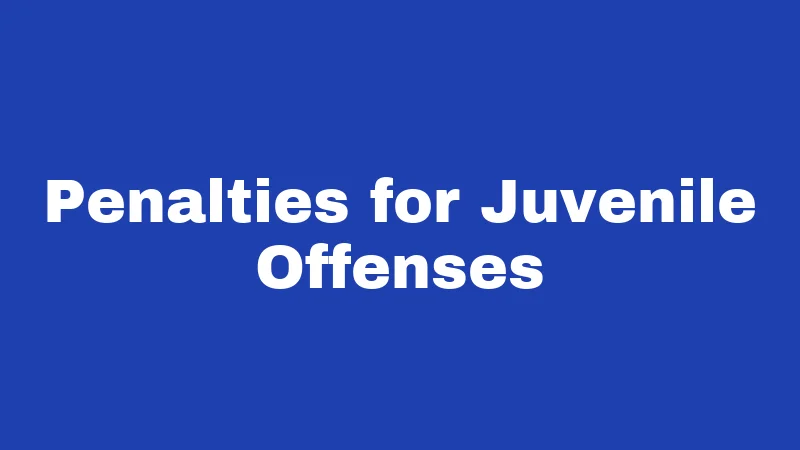 Penalties for Juvenile Offenses