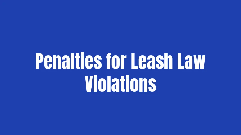 Penalties for Leash Law Violations
