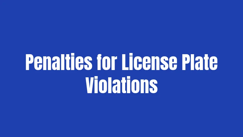 Penalties for License Plate Violations