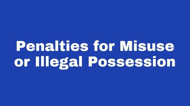 Pepper Spray Laws in South Carolina (2026): Your No-Nonsense Carry Guide 3 Penalties for Misuse or Illegal Possession