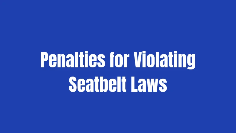Illinois Seatbelt Laws (2026): Essential Safety Rules You Need to Know 2 Penalties for Violating Seatbelt Laws