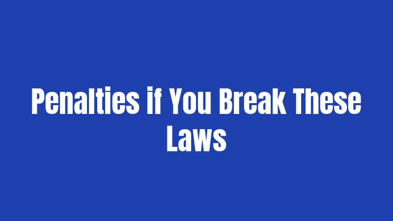 Penalties if You Break These Laws