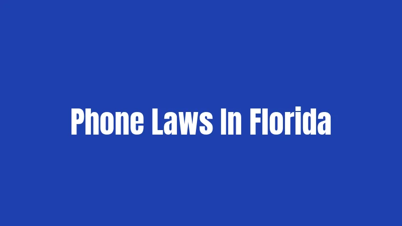 Phone Laws In Florida