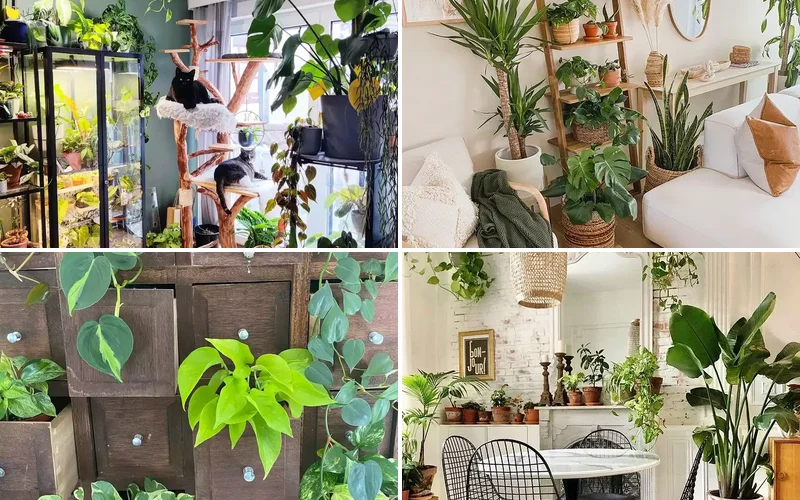 15 Indoor Plant Room Ideas to Create Your Personal Green Paradise 1 plant room ideas featured