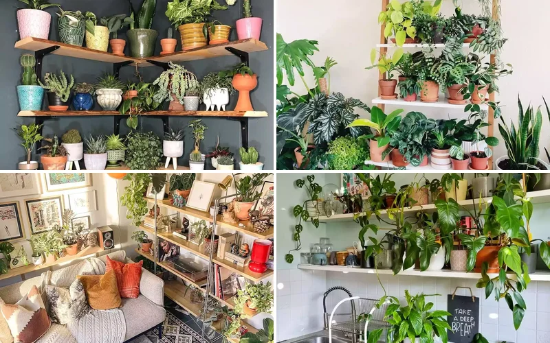 15 Creative Plant Display Ideas That'll Transform Your Home Into a Green Paradise 1 plant shelf ideas featured